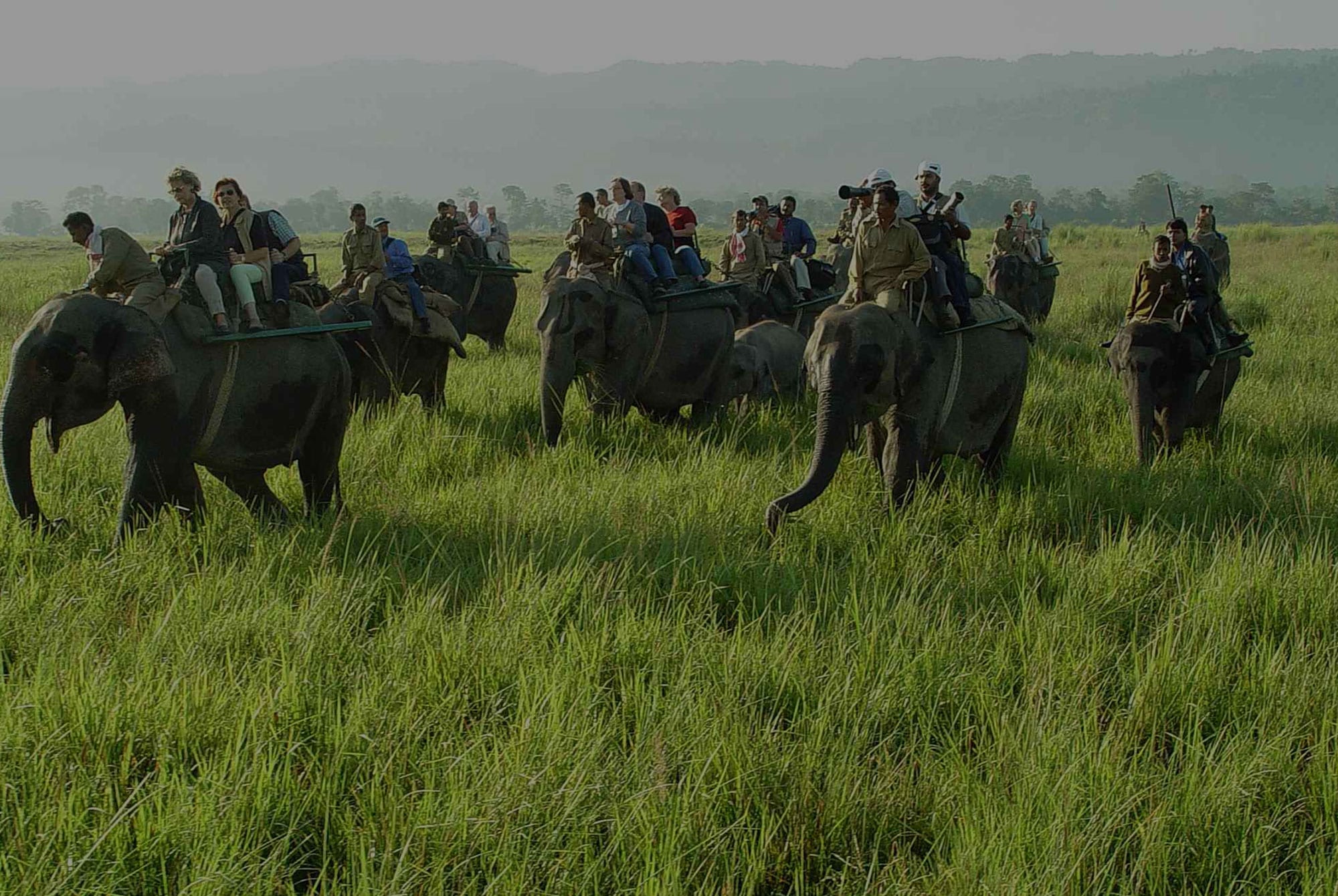 Assam