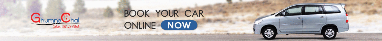Car Rental