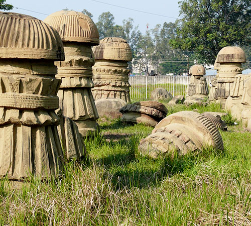 Nagaland Tour