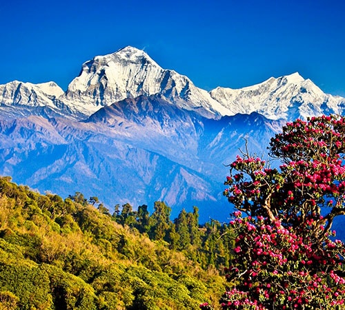 Nepal Tour